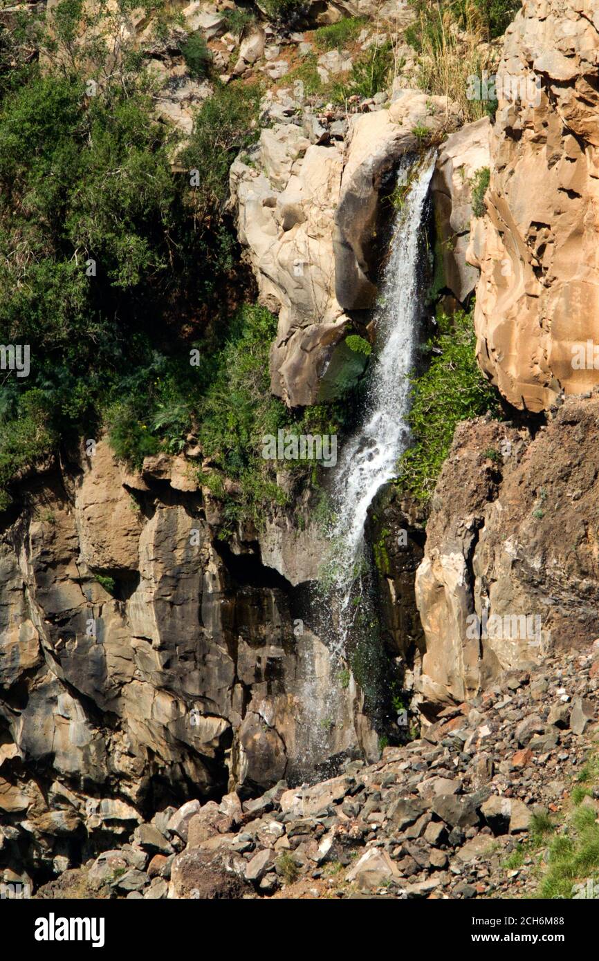 Israël, Golan, réserve naturelle de Gamla cascade. Banque D'Images