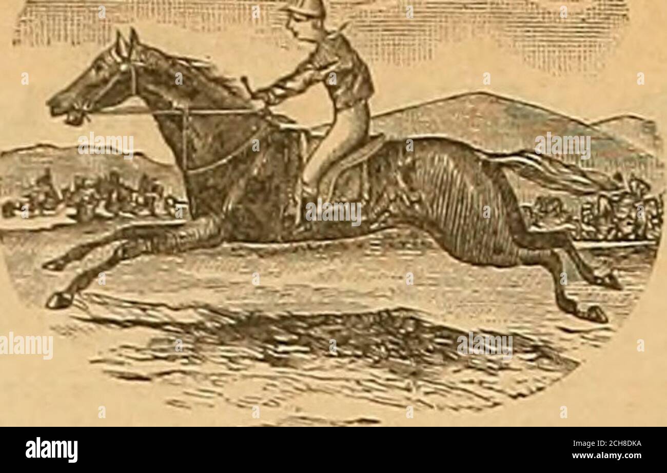 . Éleveur et sportif . oremher 1, 1894. LUXE AVEC VITESSE — ET — sans frais supplémentaires. Pullinnn doubles dessins RoomSleeping Cars. Dining Cars & gt ; repas à la cabtk,-. Pullman composite Cars, dont Bltfeet, chambre avec lit King Size. Basbeb Shop et salle de bains. L'ensemble du train est éclairé au sil avec DU GAZ. HORAIRE HEBDOMADAIRE: De San Franco^in effet Nov.l-^de N.Orleans.Thursys 10:30a.M. lv.San Fran. ar. 11:45 SundayBFrldavB 4:00 Loa Angeles 6:10 SatdyaSatdVs 5:30 ar. El Paso IV. 6 h 10 les dimanches 2 h 10 à San Antonio 1 h 30 les dimanches 7 h 40 La Nouvelle-Orléans 8:00 Jeudi à Banque D'Images