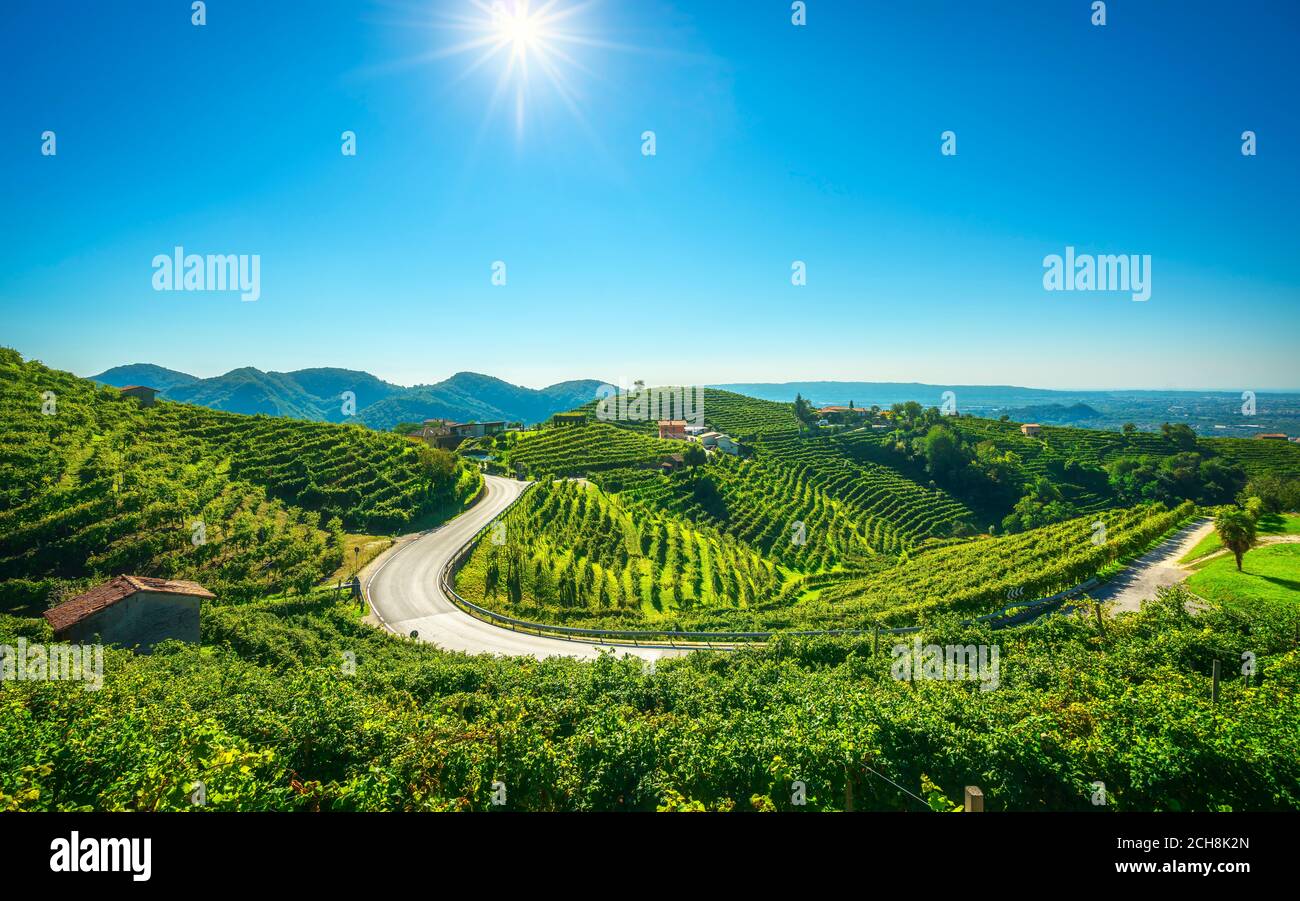 Vignobles et route. Prosecco Hills, site classé au patrimoine mondial de l'UNESCO. Valdobbiadene, Vénétie, Italie Banque D'Images