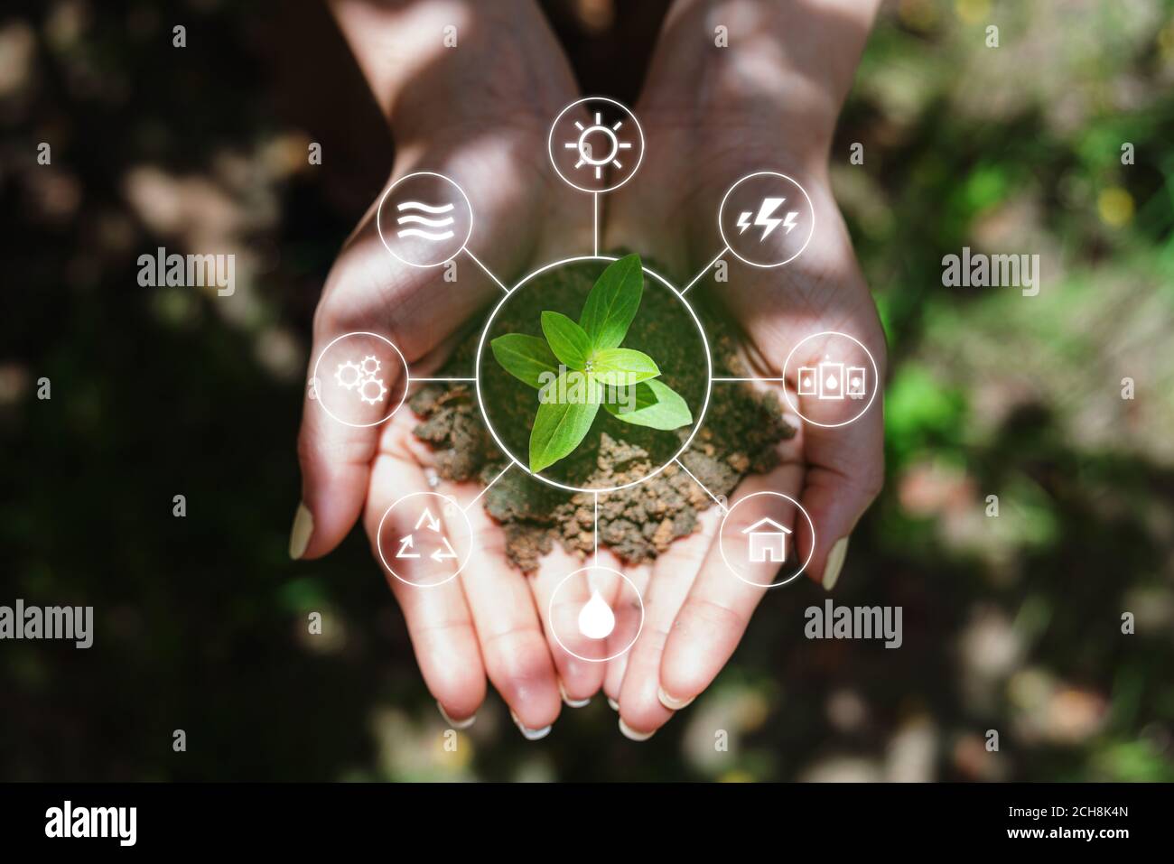 Énergie propre et ressources énergétiques naturelles. Femme tenant le sprout main, avec icône de ressource d'énergie Banque D'Images