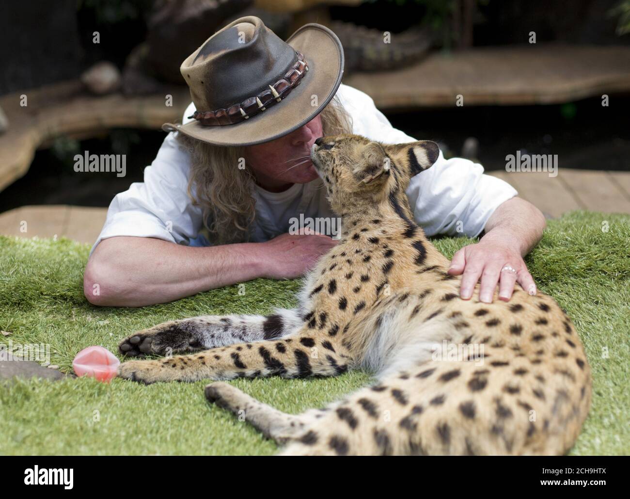 SOUS L'EMBARGO DU 0001 LUNDI 23 MAI Iain Newby avec son chat servile Squeaks, âgé de 1/2, chez lui à Great Wakering, Essex, comme des lions, des loups et des serpents venimeux mortels sont parmi des milliers d'animaux dangereux gardés dans des propriétés privées à travers le Royaume-Uni, des figures ont révélé. Banque D'Images