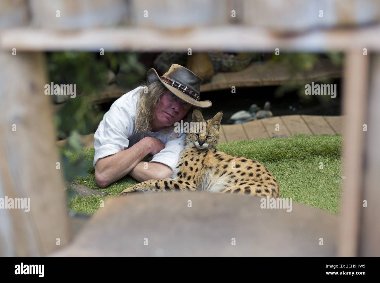 SOUS L'EMBARGO DU 0001 LUNDI 23 MAI Iain Newby avec son chat servile Squeaks, âgé de 1/2, chez lui à Great Wakering, Essex, comme des lions, des loups et des serpents venimeux mortels sont parmi des milliers d'animaux dangereux gardés dans des propriétés privées à travers le Royaume-Uni, des figures ont révélé. Banque D'Images