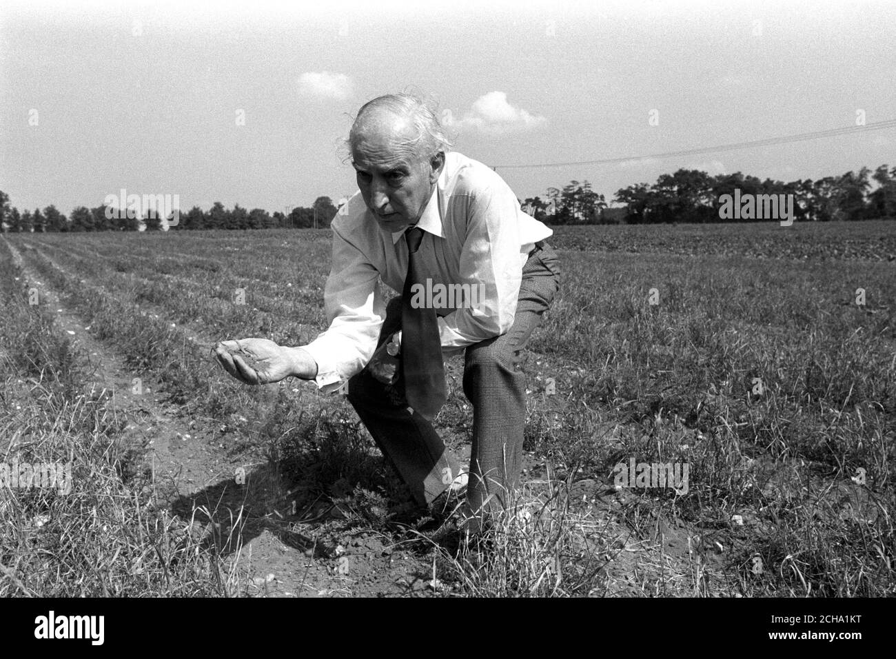 Le ministre de l'Agriculture, Fred Peart, avec une poignée de terre poudreuse dans un champ de carottes à Hall Farm, sur la propriété Euston du duc de Grafton, alors que le ministre a commencé une visite d'enquête de deux jours dans les terres agricoles frappées par la sécheresse au Royaume-Uni. Le rendement normal de la terre de 18 à 25 tonnes de carottes par acre a été perdu en raison d'un manque de pluie. Banque D'Images