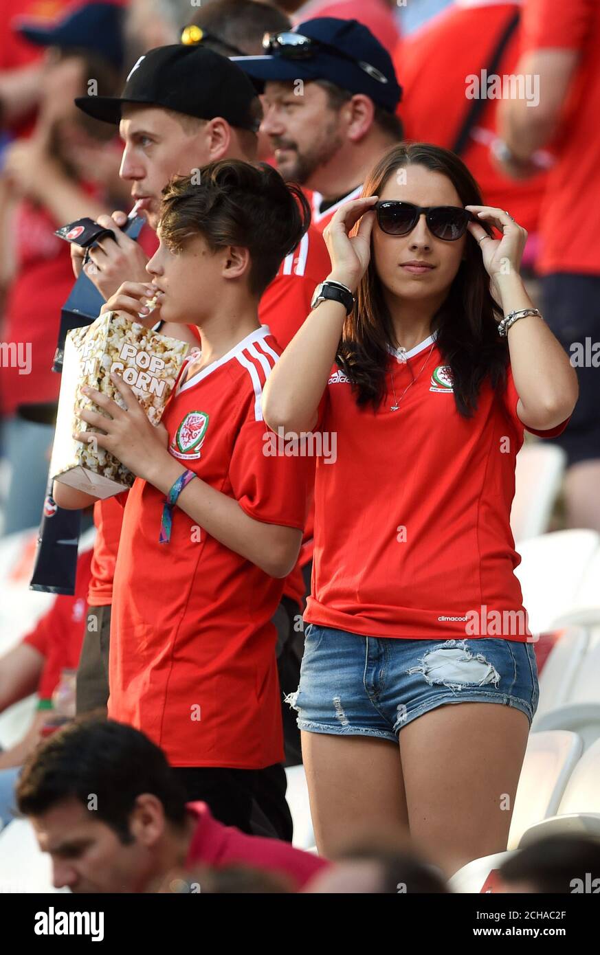 Un supporter du pays de Galles dans les tribunes de l'UEFA Euro 2016, demi-finale au Stade de Lyon, Lyon. Banque D'Images