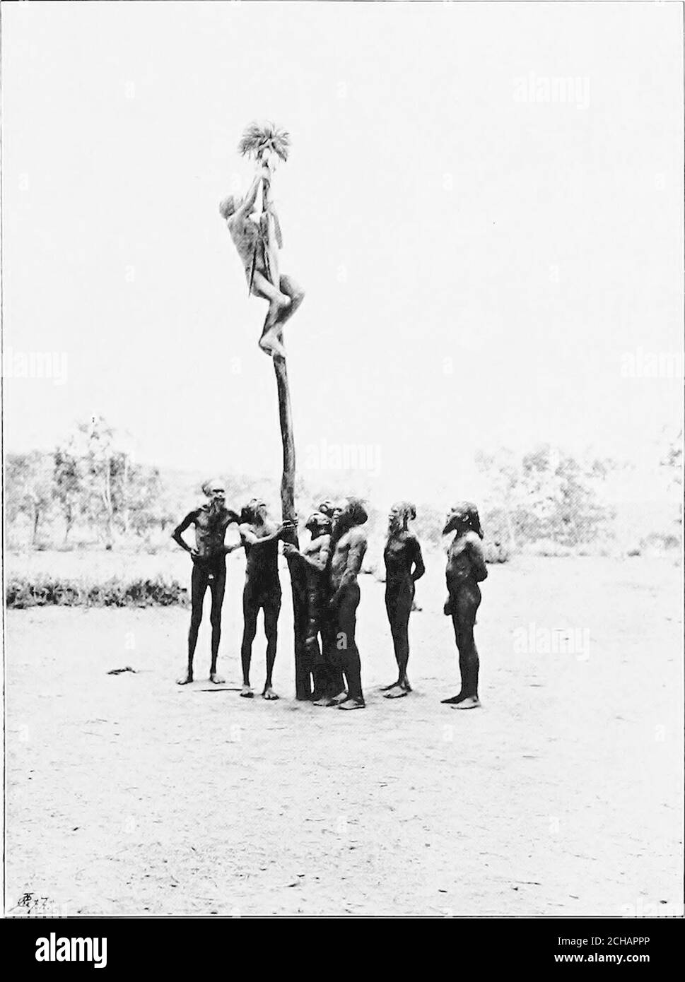 . À travers l'Australie . de retour sur le terrain d'Engwura un peu avant que le soleil ne se soit levé. Chacun était assez fatigué, surtout les vieux hommes, dont aucun n'avait eu un clin d'œil et qui, de plus, chantaient huit heures, presque sans cesse. Quant à nous-mêmes, nous avions été à l'écoute attentivement tout le temps, becausewe ne savait jamais ce qui allait se passer ensuite, Et nous étions plutôt contents d'entendre le vieux dirigeant donner des ordres pour que les hommes soient sortis dans la brousse pendant deux jours. Cela signifiait au moins une journée sans cérémonie spéciale. Et vraiment, bien que nous ne puissions pas nous permettre de manquer quoi que ce soit qui a pris Banque D'Images