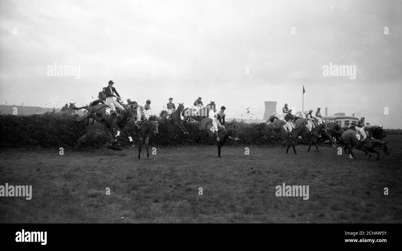 Le champ qui prend la première clôture, vu tomber à l'extrême droite est "assez naturellement" (13), monté par Tim Molony. Parmi les autres chevaux de la photo, on compte 'Parasol II' (extrême gauche, 17), 'Knuckleduster' (centre, 15) et 'Little Yid' (droite, 21). Banque D'Images
