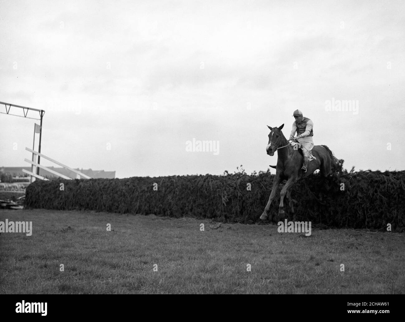 Le jockey Bryan Marshall met sa langue dehors alors qu'il prend tôt Mist au cours du dernier saut dans le Grand National à Aintree. Il a ensuite gagné 20 longueurs. Banque D'Images