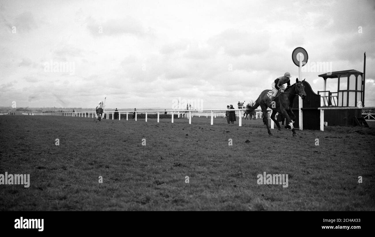 Nickel coin, John Bullock vers le haut, passe les longueurs de poste gagnantes devant Royal Tan, M. AS O'Brien vers le haut. Banque D'Images