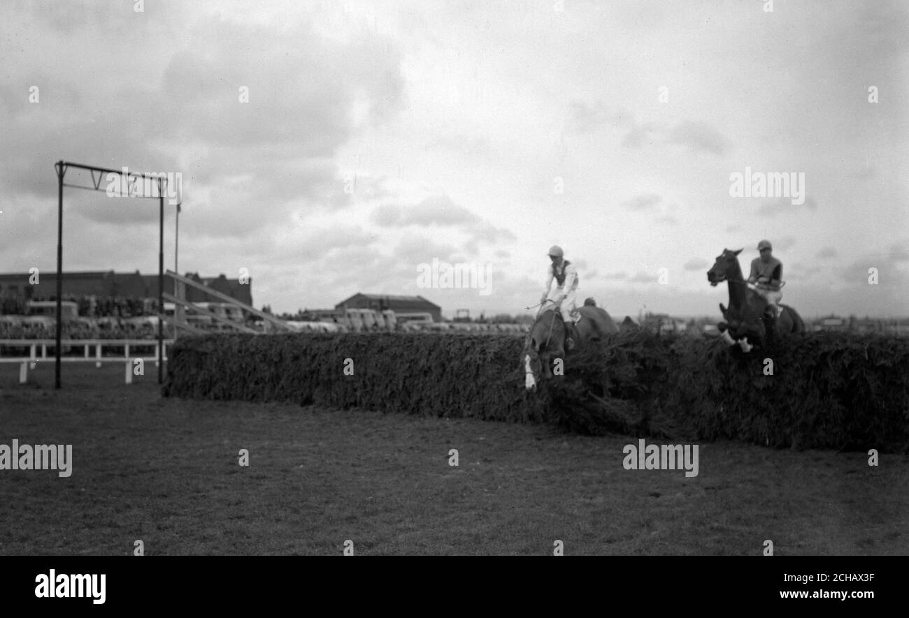 Royal Tan (l), M. AS O'Brien vers le haut, se brouille au-dessus de la dernière clôture alors qu'il duels avec Nickel coin (r), John Bullock vers le haut. Royal Tan s'est remis de cette erreur et a terminé deuxième. Banque D'Images