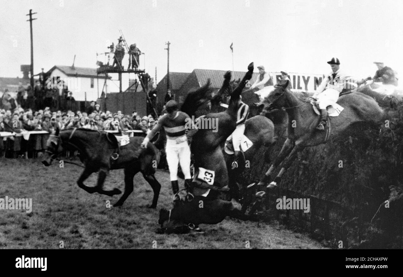 Kingstel (n° 33, au centre), avec le jockey George Slack, tombe à Becher's Brook pendant le Grand National à l'hippodrome d'Aintree. (G-D) Tea Fiend (sans riderless), Kingstel, Taxidermiste (deuxième de droite) et The French Hope, Imposant, prennent Becher's Brook. Banque D'Images