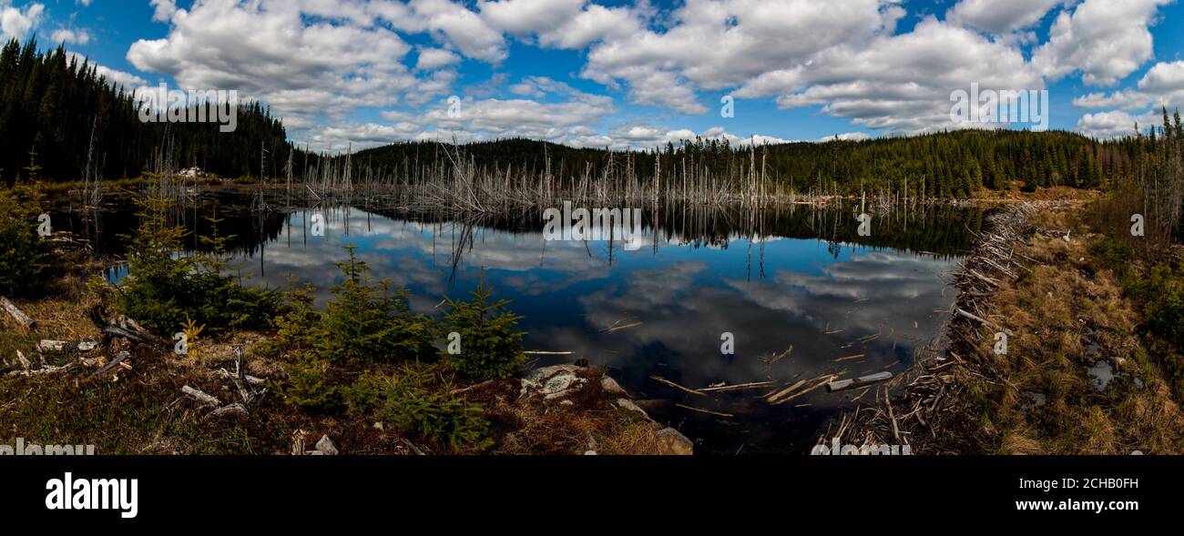 Réflexions - Lac Beaver dans les Laurentides au Québec contre un magnifique ciel bleu Banque D'Images