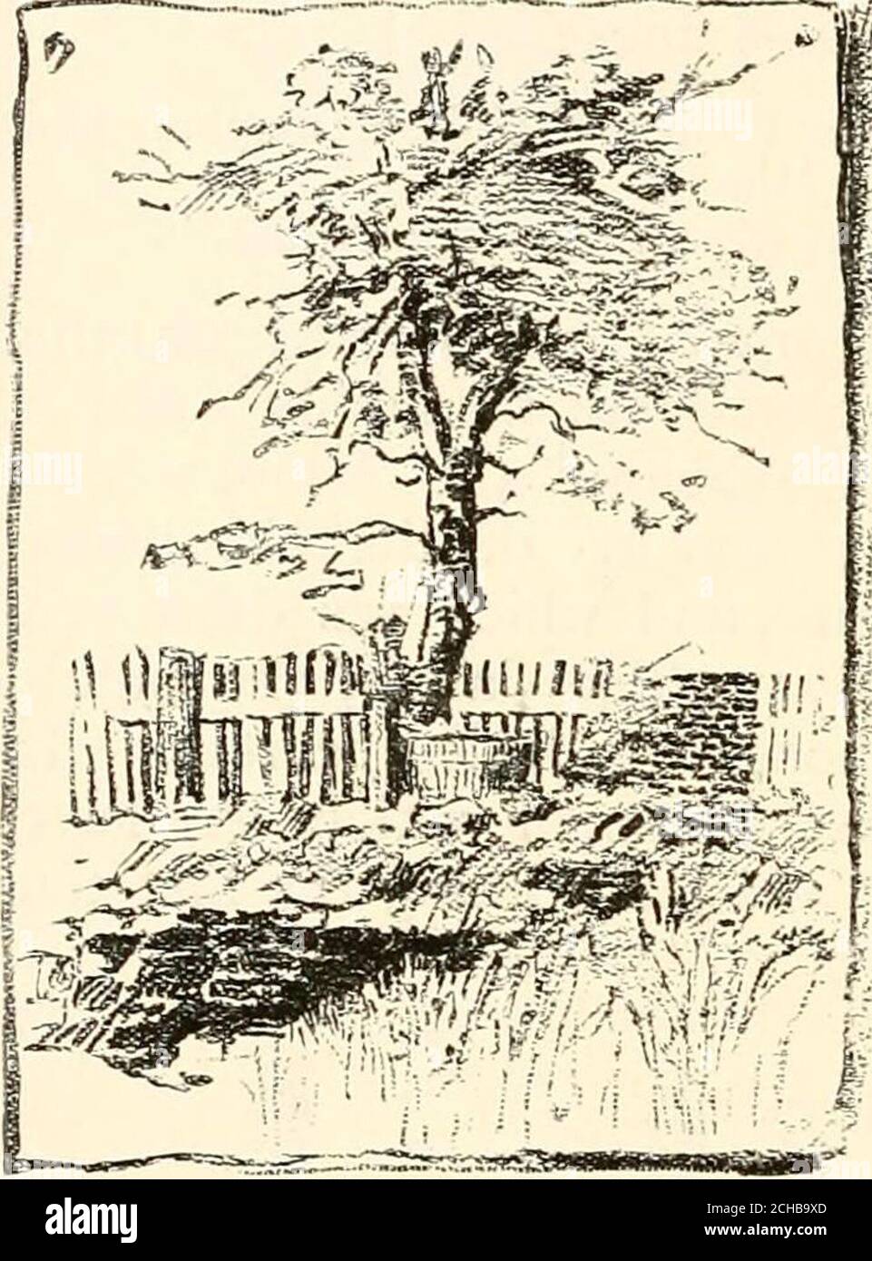 . Le magazine de la Nouvelle-Angleterre . ^ ^mf- mm. CEO.ge M.n„t o Hvwo=- .h= f,,,. ^f ,.h,^h les restes de la vieille Maison. Un dimanche en juillet, pendant la guerre de KingPhilips, en 1675, John Minot et sa famille sont allés, comme l'était la coutume, à l'église.nous pouvons même maintenant suivre la route par laquelle ils ont marché, ce chaud juillet morn-ing. À la maison, il y avait une jeune fille qui aidait les soins des deux enfants et de la maison. Sans doute était-elle la soupir-ter d'un voisin, mais l'histoire ne nous dit pas son nom. Les Indiens se sont délqués des colons de Dorchester, et ont couru à l'étage pour un mousket. L'Indien a tiré le sifflement, et la fille a retourné le Banque D'Images