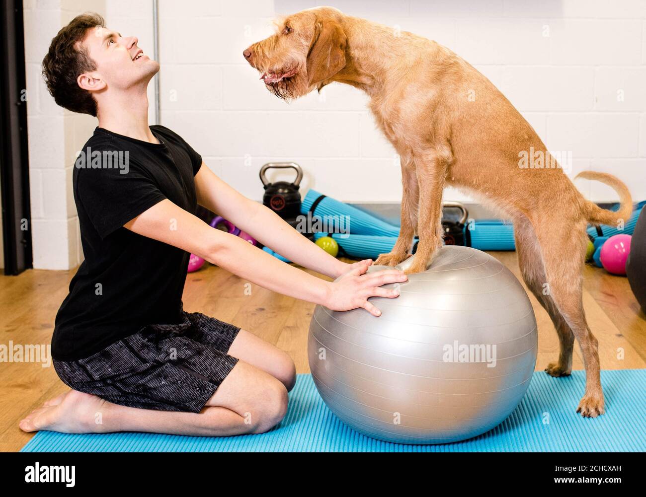 Paul Spears pratique le yoga avec son chien vizsla Maple alors qu'Argos lance la Maison de la condition physique, en s'adressant à de nouvelles tendances telles que 'Petscercise', qui selon les recherches est la dernière séance d'entraînement de choix. Banque D'Images
