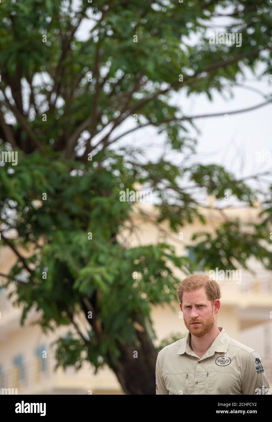 Le duc de Sussex est vu avec l'arbre Diana à Huambo, en Angola, le cinquième jour de la tournée royale de l'Afrique. Le duc visite le champ de mines où sa mère, la princesse de Galles, a été photographiée en 1997, qui est maintenant une rue animée avec des écoles, des magasins et des maisons. Photo PA. Date de la photo : vendredi 27 septembre 2019. Voir PA Story ROYAL Tour. Le crédit photo devrait se lire comme suit : Dominic Lipinski/PA W ire Banque D'Images