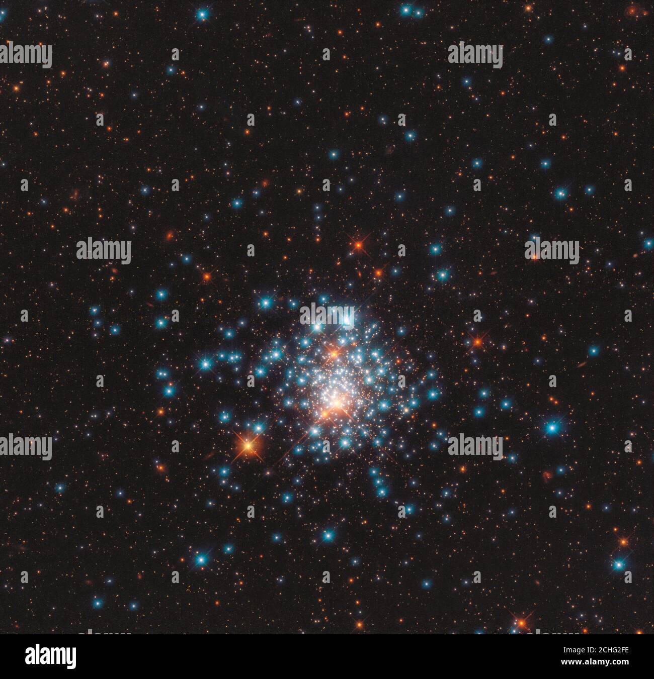 NGC 1805 - de nombreuses étoiles colorées sont réunies dans cette image du groupe globulaire NGC 1805, prise par le télescope spatial Hubble NASA/ESA Banque D'Images
