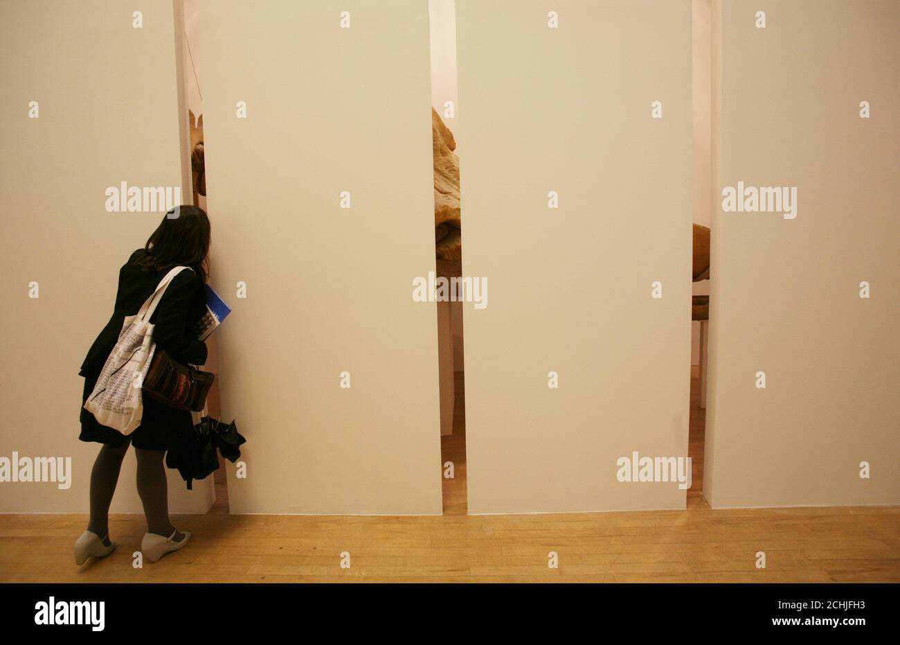 Une femme regarde Léviathan Edge 2009 de Lucy Skaer, l'une des nominées du prix Turner, photographiée à Tate Britain. Ce travail montre le crâne d'un cachalot juste visible derrière un écran. Banque D'Images Une femme regarde Léviathan Edge 2009 de Lucy Skaer, l'une des nominées du prix Turner, photographiée à Tate Britain. Ce travail montre le crâne d'un cachalot juste visible derrière un écran. Banque D'Images