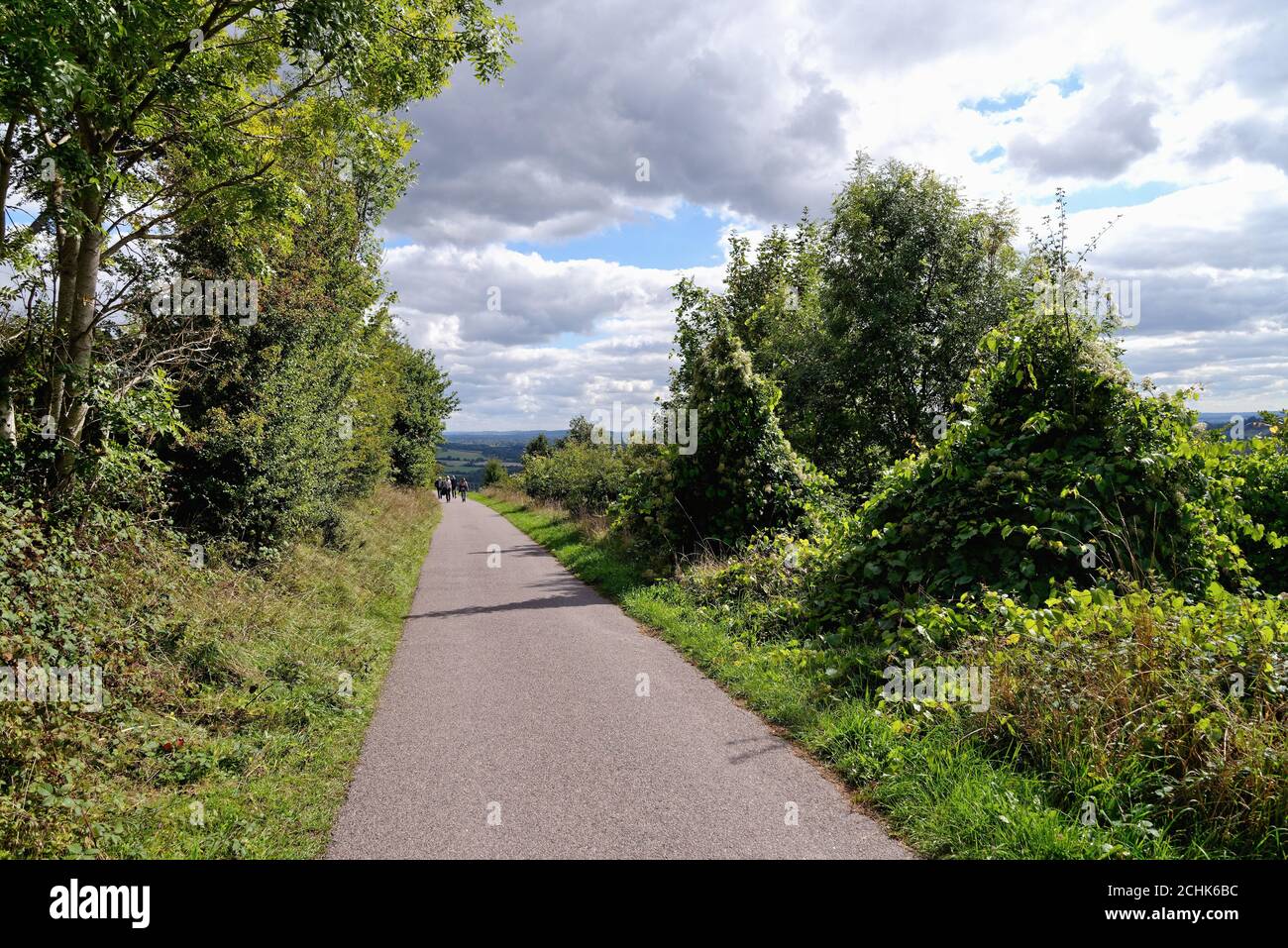 Le sentier North Downs Way dans les collines de Surrey près de Dorking Surrey Angleterre Royaume-Uni Banque D'Images