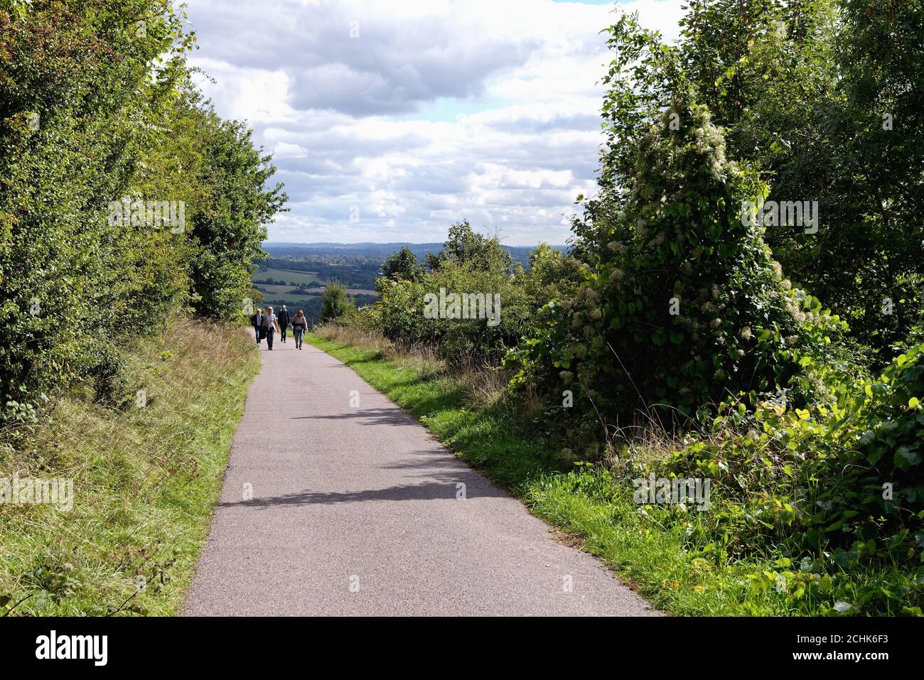 Le sentier North Downs Way dans les collines de Surrey près de Dorking Surrey Angleterre Royaume-Uni Banque D'Images