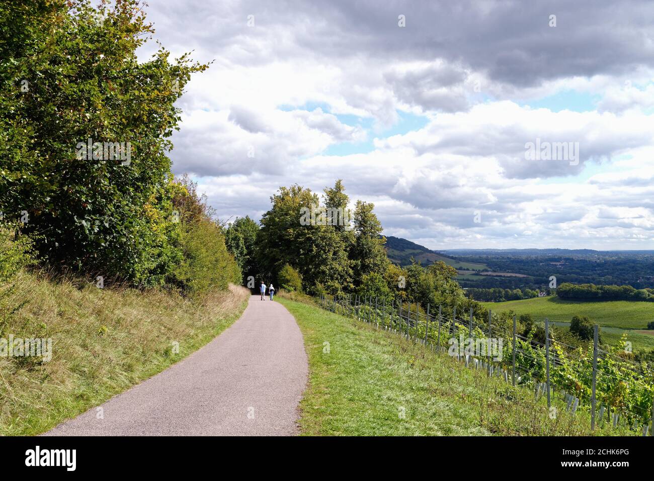 Le sentier North Downs Way dans les collines de Surrey près de Dorking Surrey Angleterre Royaume-Uni Banque D'Images