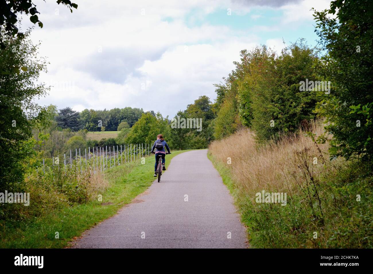 Le sentier North Downs Way dans les collines de Surrey près de Dorking Surrey Angleterre Royaume-Uni Banque D'Images