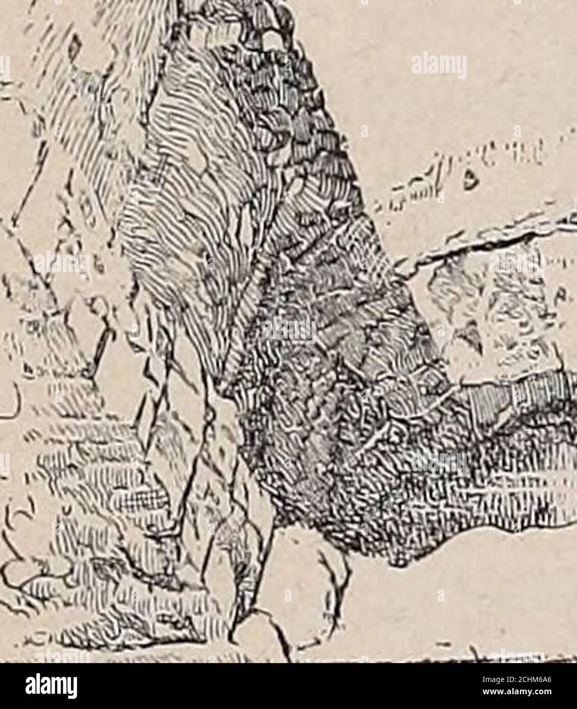 . Une histoire de Rome . l'Ome a été assisté par la croissance rapide de l'indipopulation et de l'importance de la ville. Les murs d'origine sont rapidement devenus des toostrait pour les multitoudes en augmentation ; de nouveaux remparts ont été construits, — dit la tra-dition sous la direction du roi Servius Tullius, — Qui, avec un grand circuit de sept milles, a balayé autour de l'ensemble des sept collines sur la rive sud du Tibre, d'où le nom que Rome a acquis de la ville des sept collines. Une grande étendue de terre marécageuse entre les collines principales a été récupérée par le cloaque Maxima, un grand égout ou drain, 1 fouilles modernes Banque D'Images