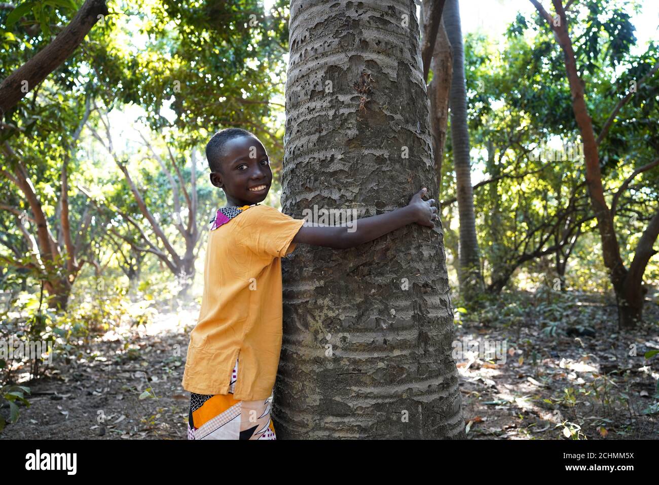 Mignon Africain ethnicité enfant noir embrassant Big Tree en plein air souriant Et rire Banque D'Images