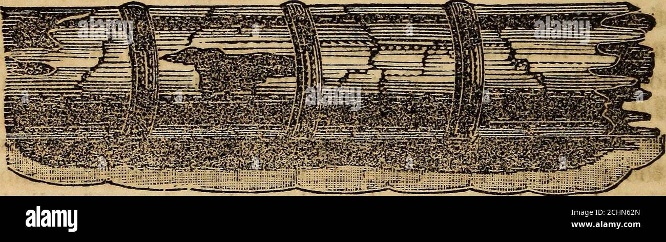 . La tragédie des mers; Ou, chagrin sur l'océan, le lac, et la rivière, de naufrage, de la peste, du feu et de la famine . radeau de centre commercial, ou catamaran, dans le but de transmettre à la banque quelques-uns de ces arti-cles de provisions, &c, qui serait le plus désiré, dans le cas où nous serions obligés d'abandonner le navire; mais cette pièce de mécanisme s'est avérée inutilisable, car elle a été instantanément renversée lorsqu'elle a été abaissée dans le surf, et chaque thingon a perdu. Le bateau, qui avait la goneoverboard pour superintenter la gestion du catamaran, a été frappé loin des côtés par le surf, et anxiousto comme Banque D'Images