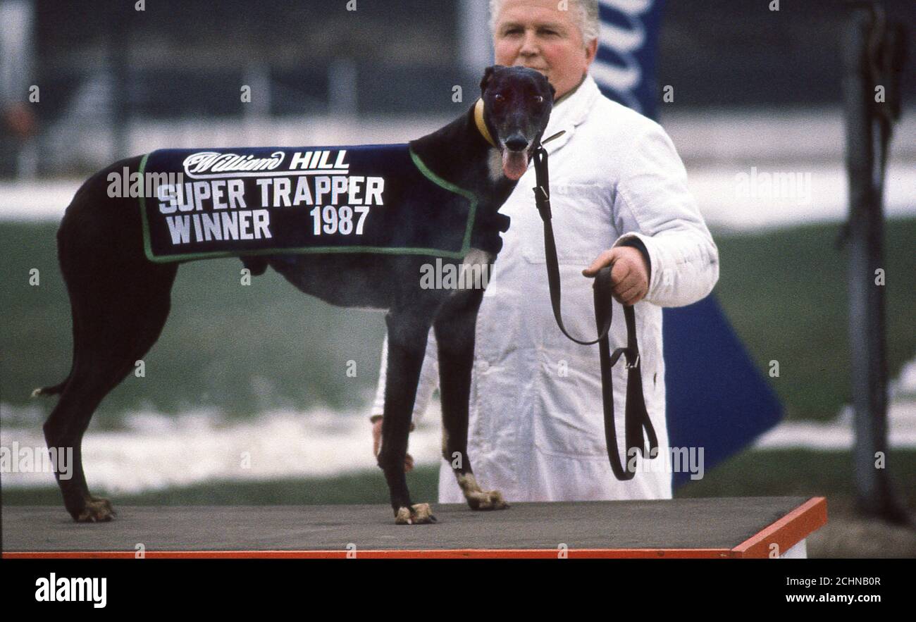 Brent Walker Hackney Greyhound Racing Stadium London, Royaume-Uni. William Hill Super Trapper réunion 1987 Banque D'Images