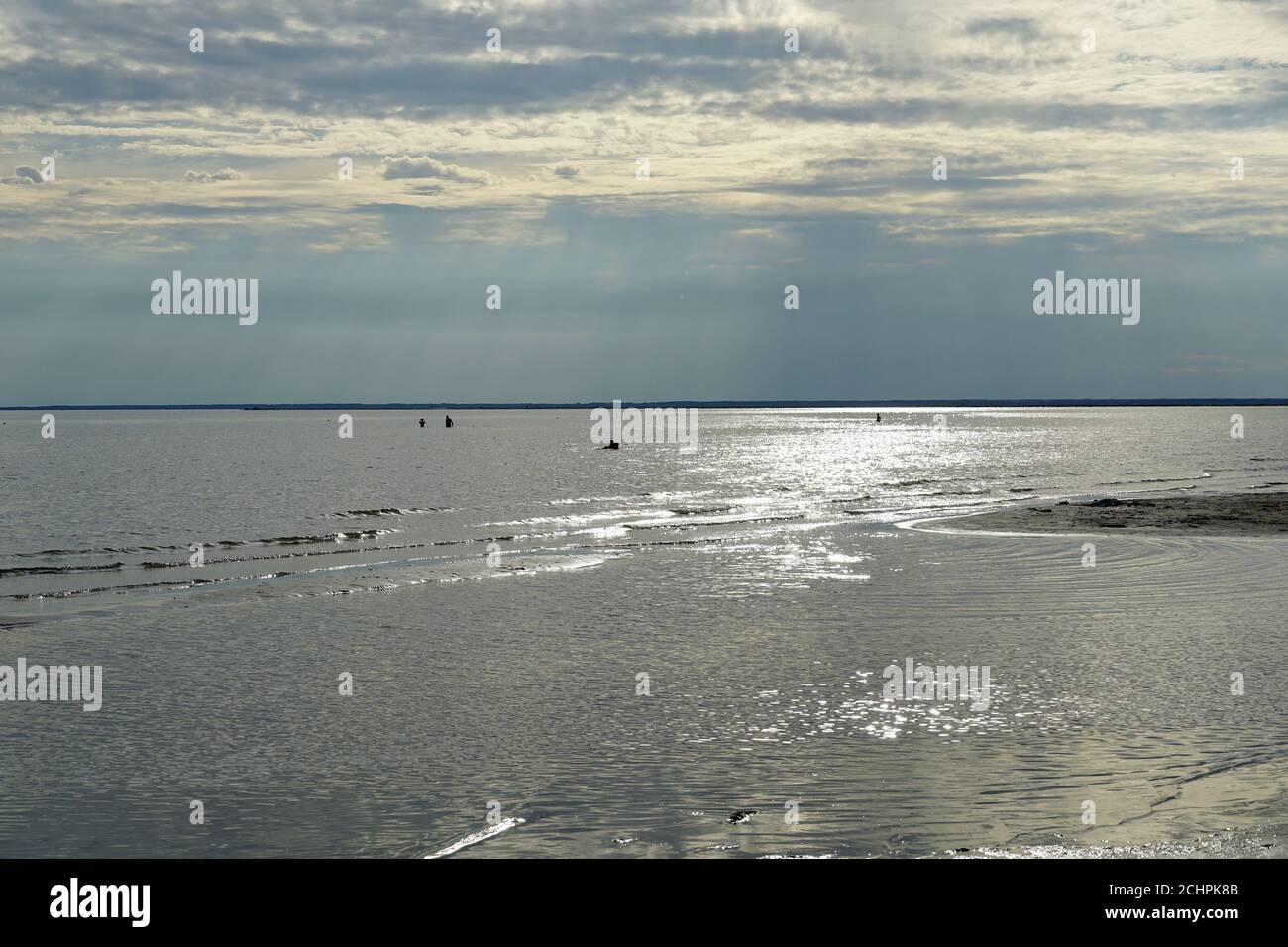 plage, Mer Baltique, Pärnu, Estonie, Europe Banque D'Images