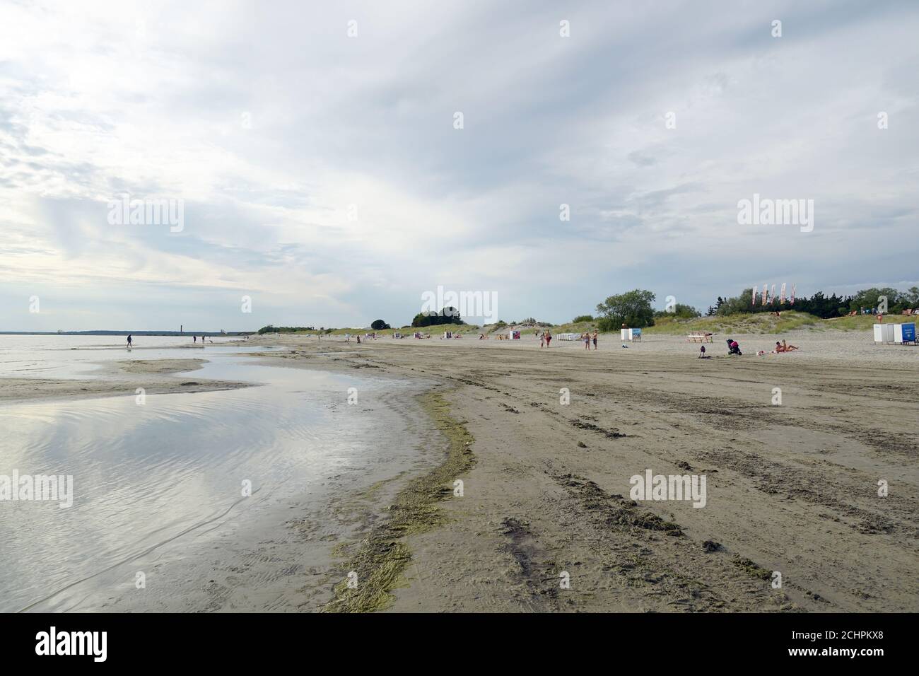 plage, Mer Baltique, Pärnu, Estonie, Europe Banque D'Images