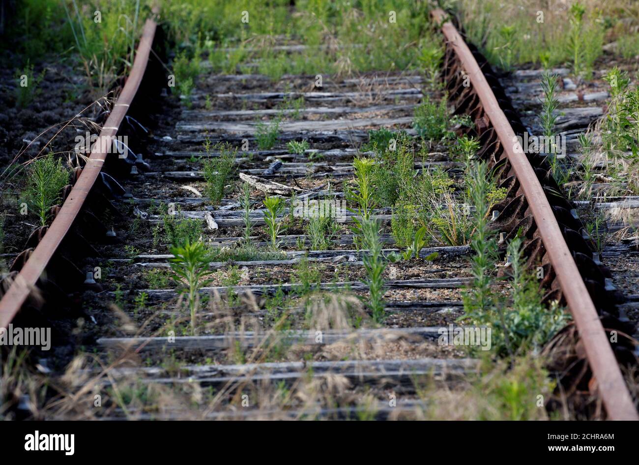 Lucon Banque D Image Et Photos Alamy Lucon Banque D Image Et Photos Alamy