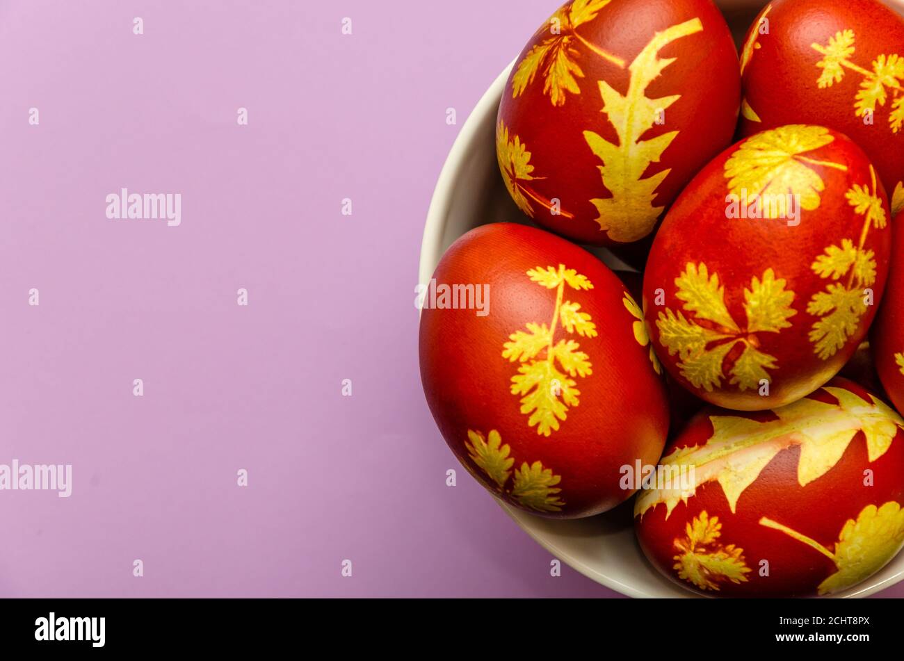 Oeufs de Pâques teints avec des pelures d'oignon avec un motif de feuilles fraîches de plantes dans un bol blanc sur fond violet clair. Concept d'utilisation de colorants naturels Banque D'Images
