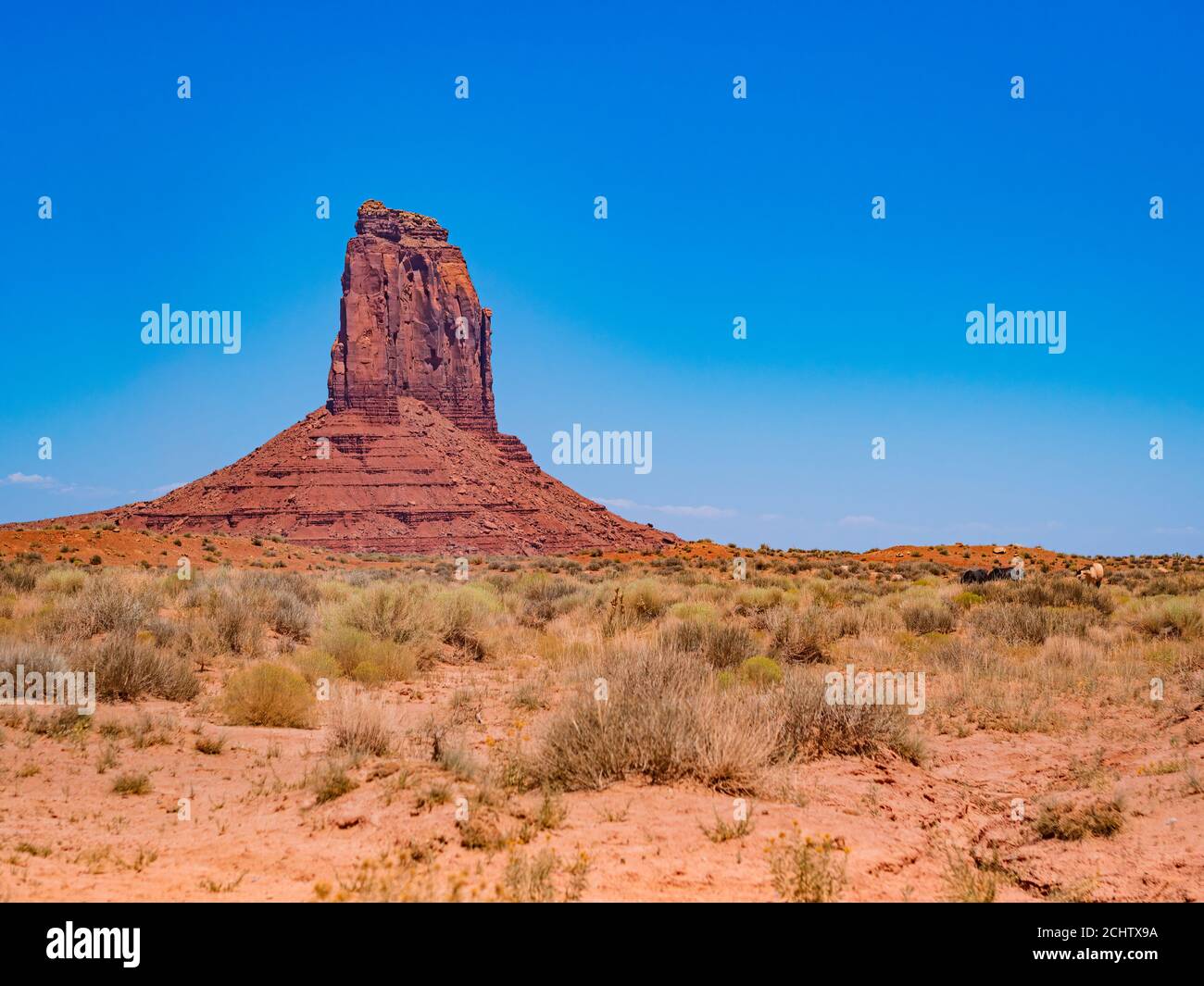 La Monument Valley sur la route d'Artist's point, Arizona - Utah Banque D'Images