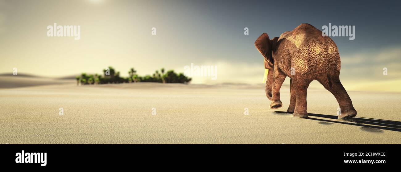 illustration 3d de l'éléphant dans le désert vers une oasis Banque D'Images