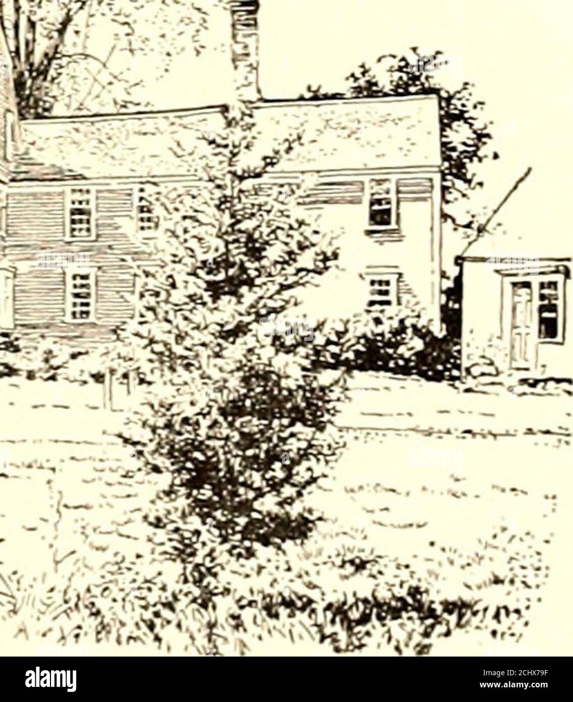 . Camps et feux de la révolution . THE WAYSIDE INN. À Jonathan Thomass, à Burlington. Celui qui prend et sécurise ledit serviteur, pour que son maître le mayait de nouveau, aura quarante shillings récompense, et des charges raisonnables, payés par. Nathan Watson. Perdu, l'automne dernier, à Morris-Town, dans l'est-Jersey, un chien, du genre pointeur, tout blanc, sa queue ancrée et le rewardhas a eu sa cuisse brisée ; réponses au nom de direct Sf13 ° un-huitième Cato. Celui qui apporte ledit chien à M. Waters à thatfortheElizabeth-Town point, aura cinq shillings récompense. Man- 5 6 routes a?ID byways Banque D'Images
