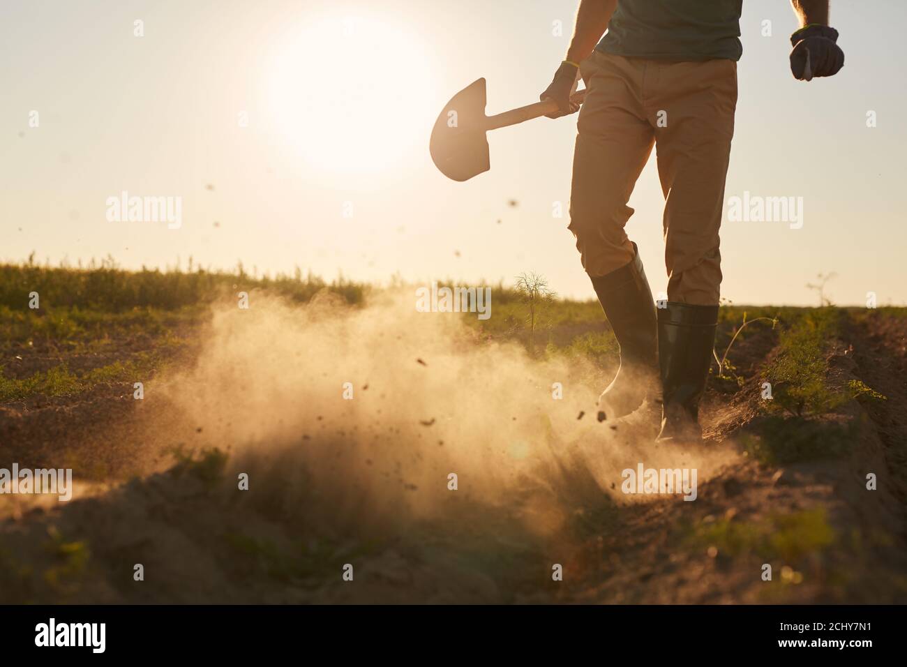 Portrait en coupe basse d'un travailleur masculin méconnaissable qui soufflait de nuages de poussière de bottes en caoutchouc et qui tient la pelle tout en traversant le champ de plantation à la lumière du coucher du soleil, dans l'espace de copie Banque D'Images