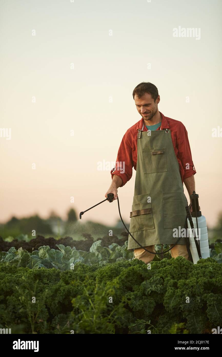 Portrait vertical d'un travailleur masculin qui arrose les cultures et les légumes en se tenant à la plantation, espace de copie Banque D'Images