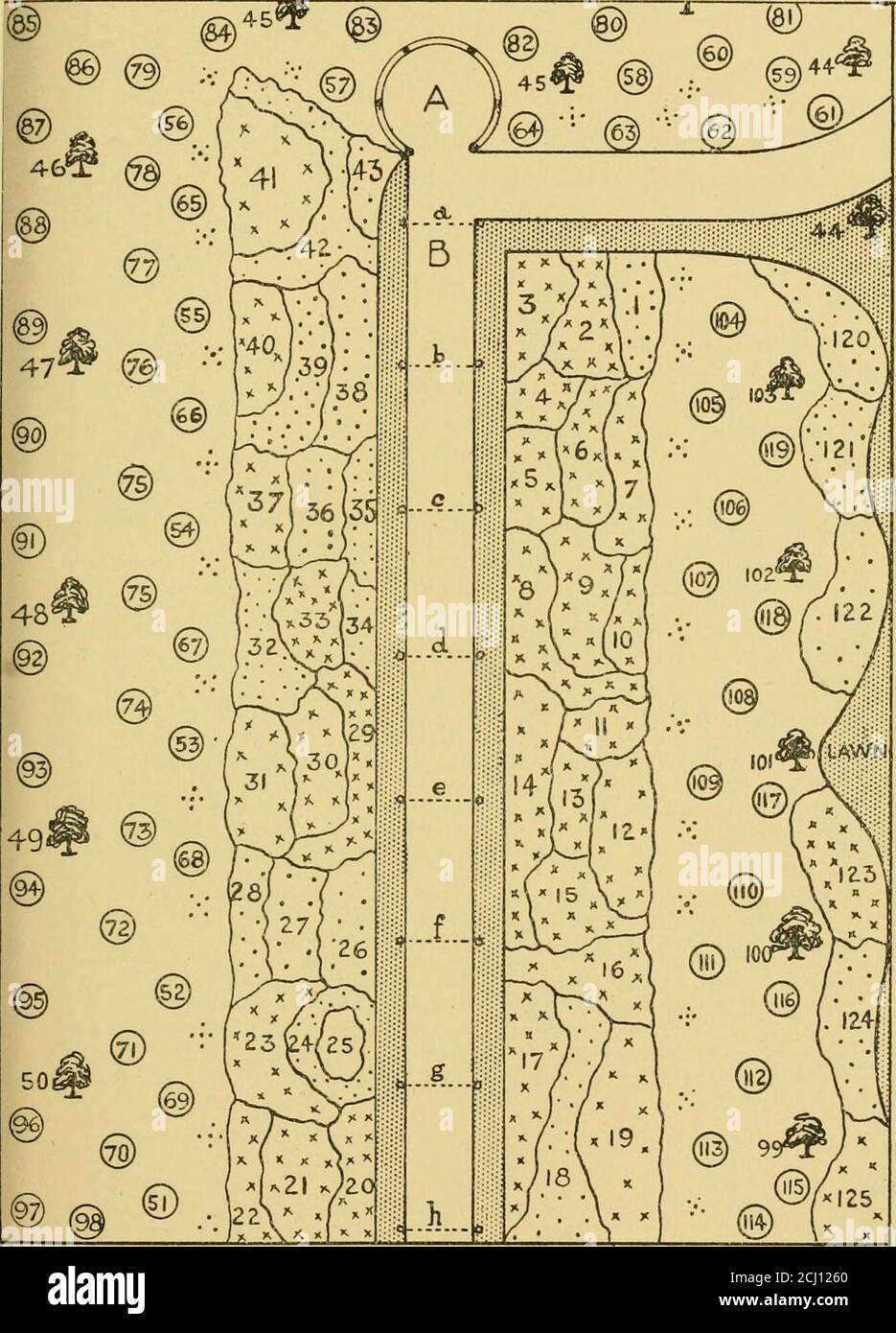 . Le jardin parfait, comment le garder beau et fructueux, avec des conseils pratiques sur la gestion éonomique et la culture de toutes les fleurs, fruits, et légumes principaux; . érasé. 92. Berberis aquifolium. 93. Buxus lati-folia nova. 94. Aucuba longifolia variegata. 95. Holly, Handsvvorthiensis.96. Ruscus racemosus. 97. Phillyrea latifolia. 98. Ribes aureum. LATON—arbres de la bordure : 99. Viburnum tcmentosum plicatum. 100.Weigela Eva Rathke loi. Pendula de Sophora japonica. 102. Prunus sinensisrosea fl. pi. 103. Amelanchier canadensis. Arbustes : 104. Berberis stenophylla.105. Rubra de floride Cornus Banque D'Images