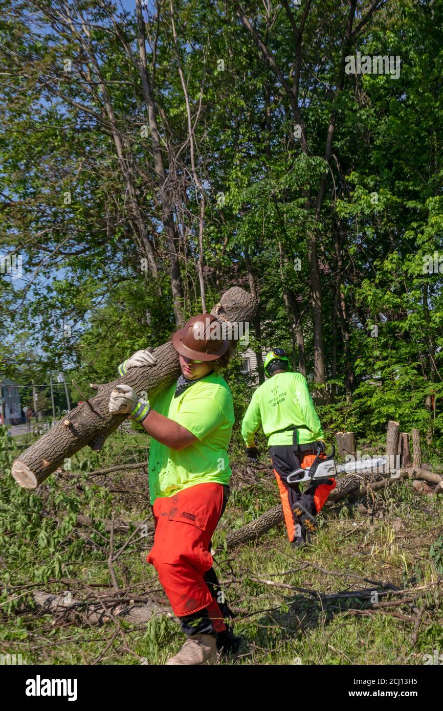 Detroit, Michigan - les travailleurs de l'équipe de terrain de Detroit débrossent un pinceau trop grand sur un terrain vacant. Banque D'Images
