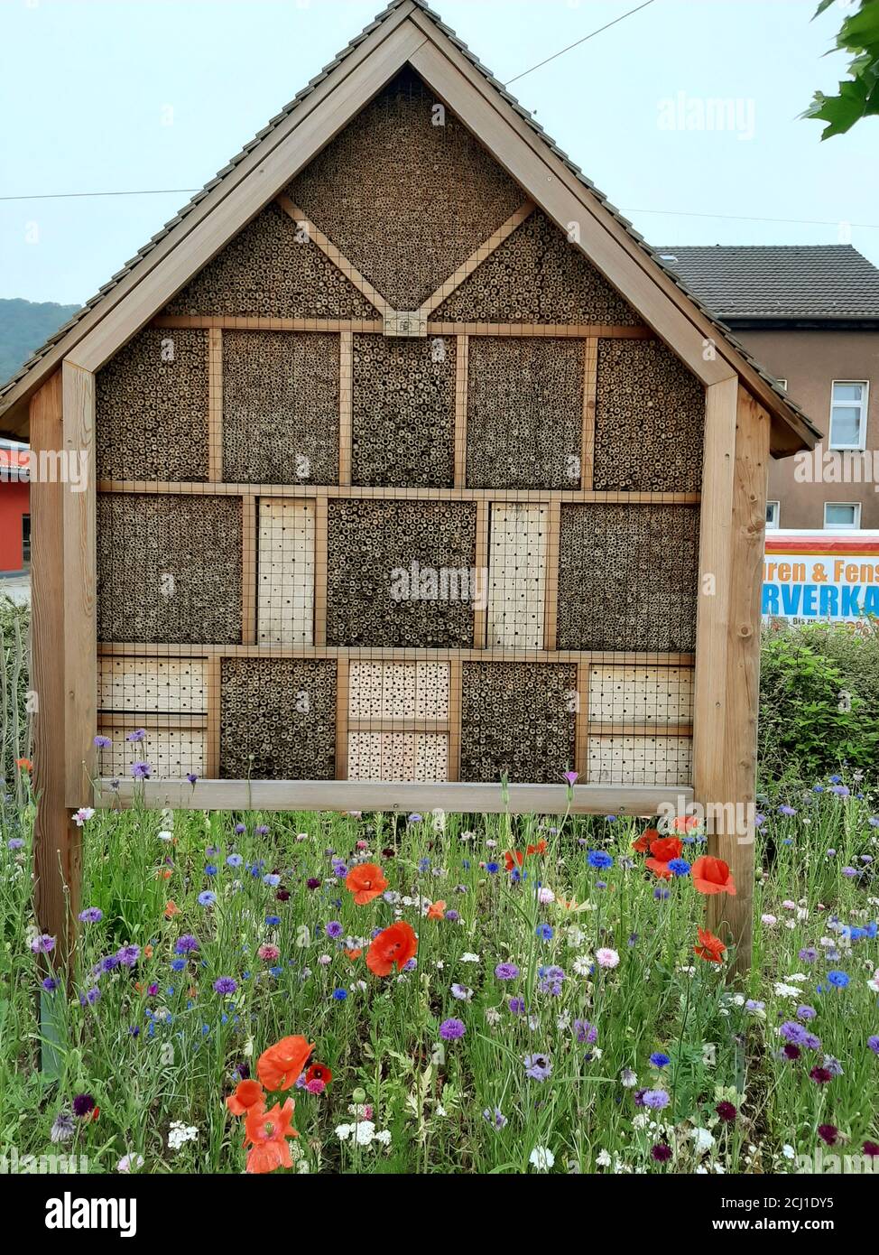 Hôtel d'insectes dans un pré de fleurs sauvages, , Allemagne Banque D'Images