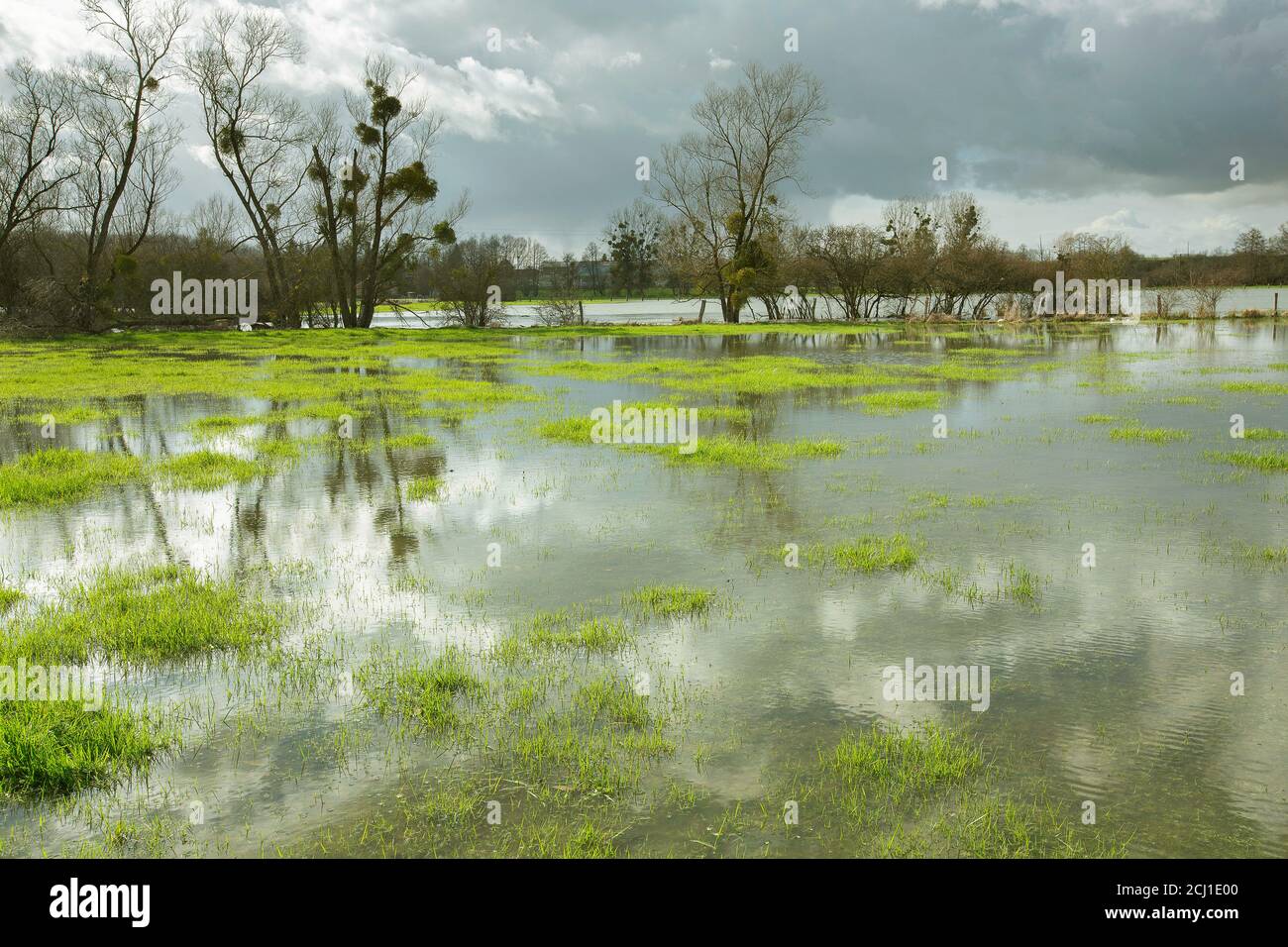 Inondations dans la vaaley de l'Aisne, France, Aisne, Vouziers Banque D'Images