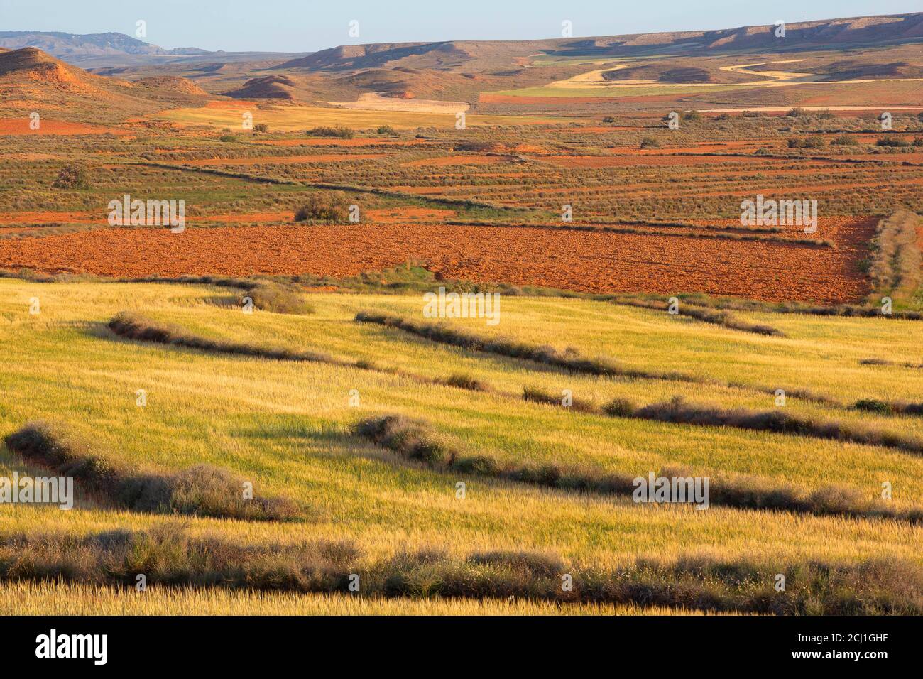 Steppes de Belchite, Espagne, Aragon, El Planeron, Belchite Banque D'Images