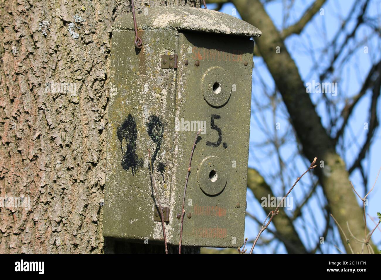 Hornetbox dans un arbre, Allemagne Banque D'Images