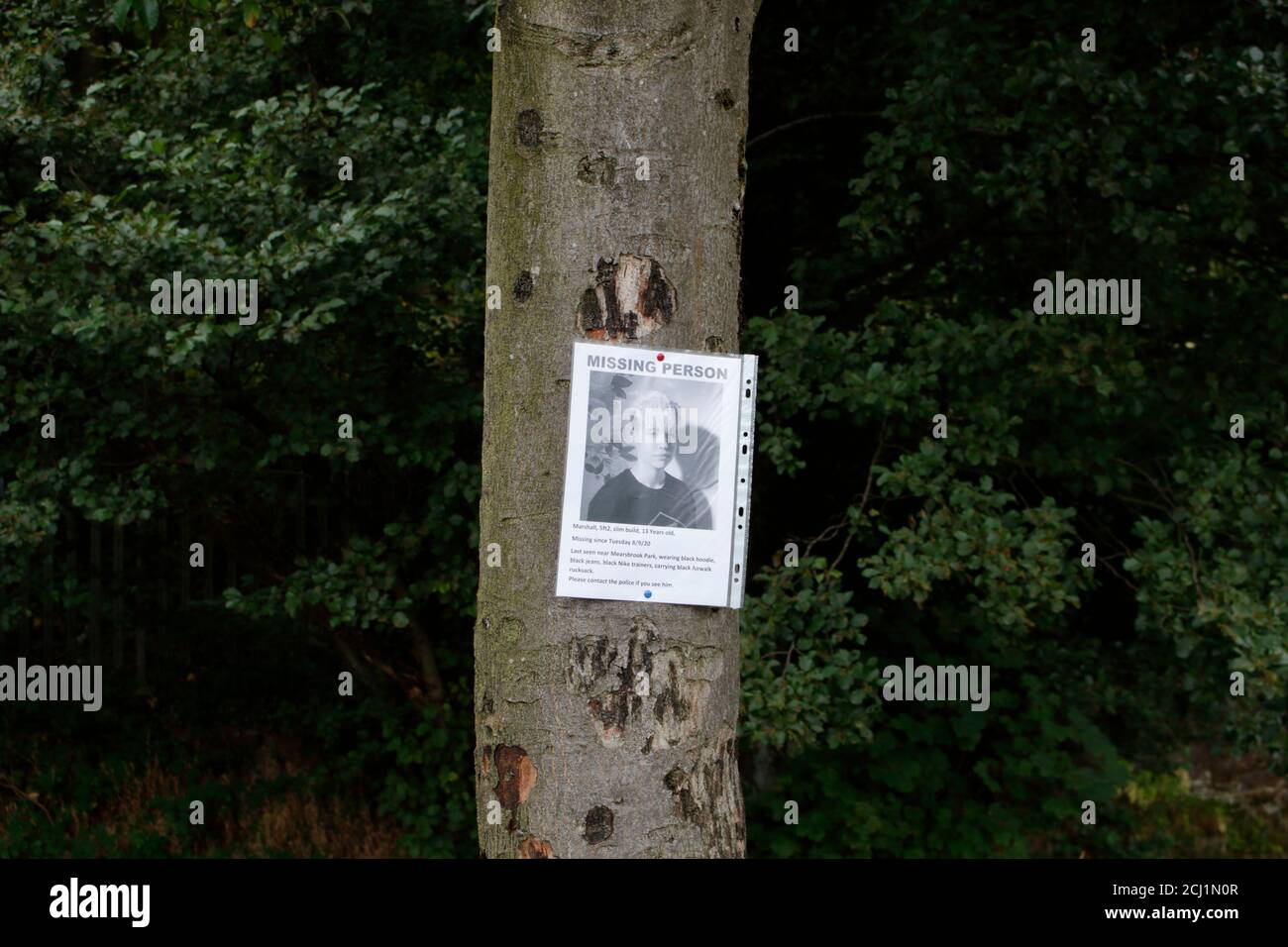 Affiche adolescente manquante, épinglée à un arbre, Sheffield, Angleterre, Royaume-Uni Banque D'Images