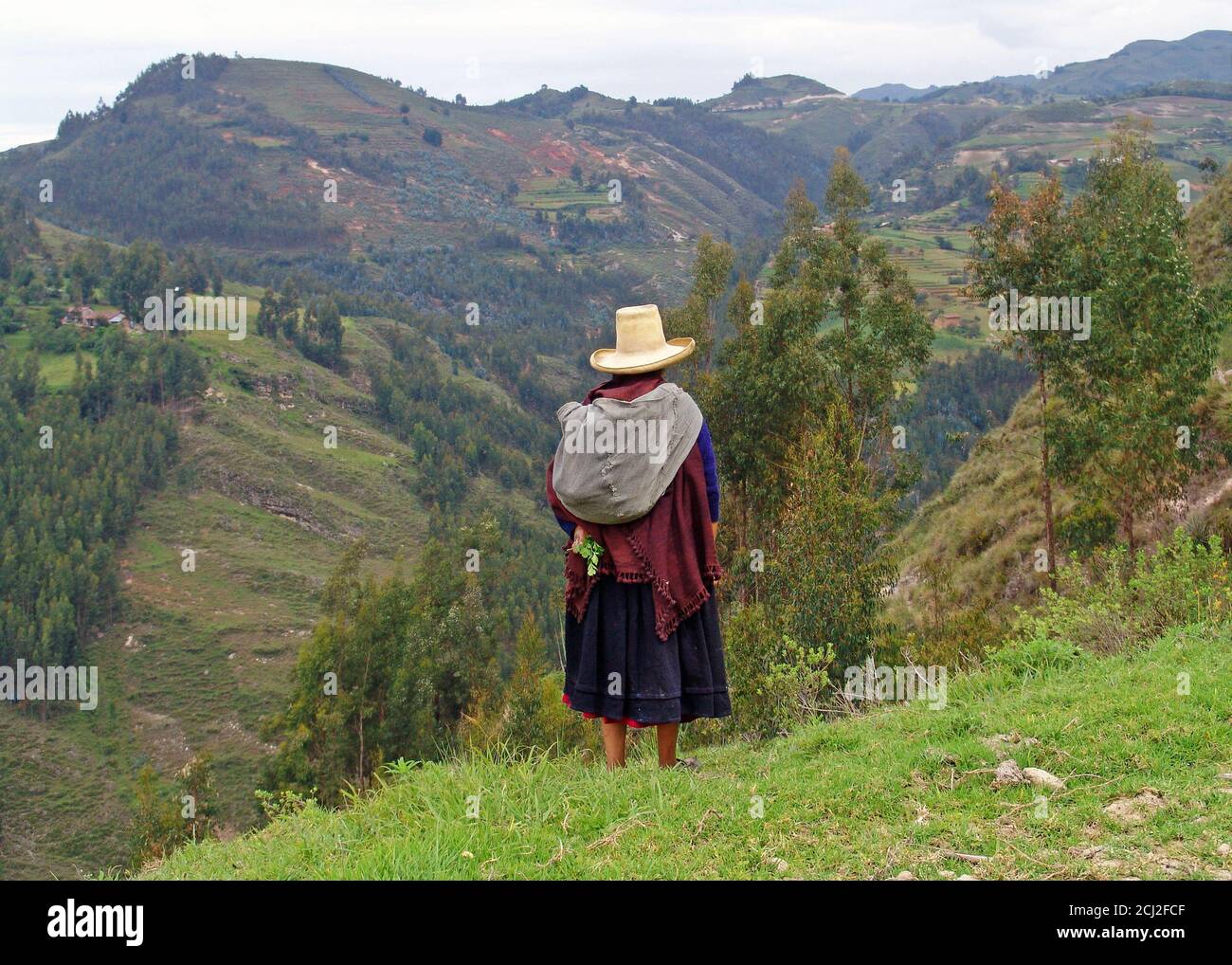 Femme autochtone quechua regardant l'horizon dans la chaîne de montagnes des Andes, Cajamarca, Pérou. Banque D'Images