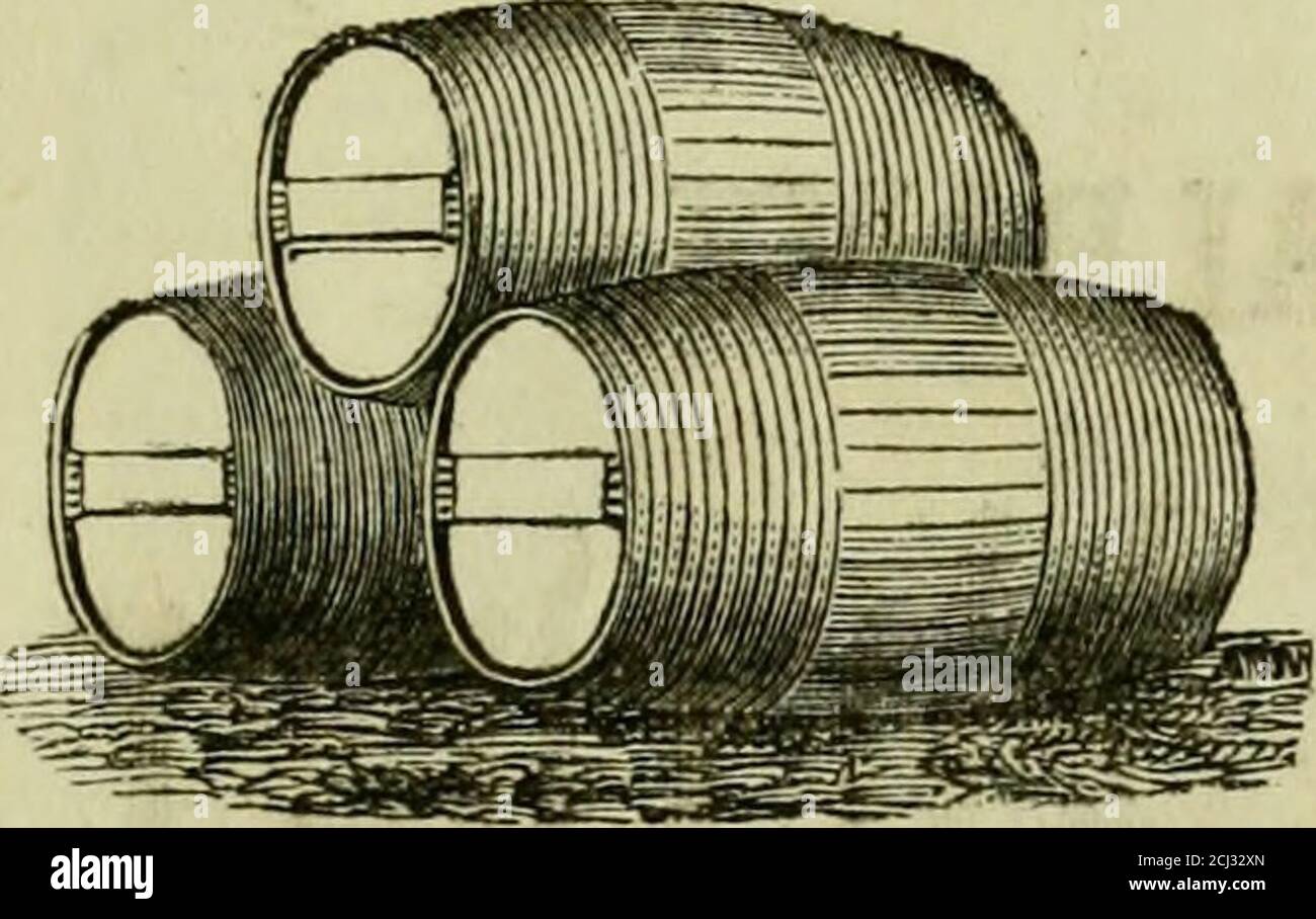 . Le répertoire d'Albany pour l'année ... : contenant un répertoire général des citoyens, un répertoire des entreprises et d'autres questions diverses . INNE, BENJAMIN PAYN, FABRICANT DE I S. W. NORTHROP. ET DISTRIBUTEUR DANS MUSTAED, PIPES, TABAC EN BOUCHON, cigares importés, étuis à cigares, BOÎTES À TABAC et À TABAC À PRISER, pipes de meerschaum, allume-cigares, et c.. En face du musée, et à côté de E. Corning & Co. JAMES DEARSTYNE & BROTHERS, DEALERS DE Crockery, Glass and Earthen Ware, &c., BATH, K. OREEXBUSU. P. O. Address, ai.BANY, W. Y. Grand soin est donné à la sélection des marques de choix de FLOUE, EXTRA AROMATISÉ Banque D'Images . Le répertoire d'Albany pour l'année ... : contenant un répertoire général des citoyens, un répertoire des entreprises et d'autres questions diverses . INNE, BENJAMIN PAYN, FABRICANT DE I S. W. NORTHROP. ET DISTRIBUTEUR DANS MUSTAED, PIPES, TABAC EN BOUCHON, cigares importés, étuis à cigares, BOÎTES À TABAC et À TABAC À PRISER, pipes de meerschaum, allume-cigares, et c.. En face du musée, et à côté de E. Corning & Co. JAMES DEARSTYNE & BROTHERS, DEALERS DE Crockery, Glass and Earthen Ware, &c., BATH, K. OREEXBUSU. P. O. Address, ai.BANY, W. Y. Grand soin est donné à la sélection des marques de choix de FLOUE, EXTRA AROMATISÉ Banque D'Images