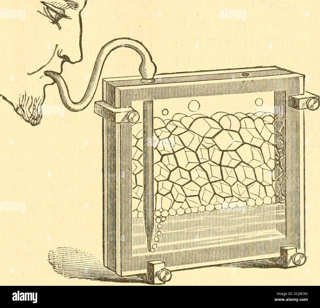 . L'apiculturiste américain: Une revue consacrée à l'apiculture scientifique et pratique . nos efforts. ÉCHANGES. Holmans New IllustrrationOF Cell formation, bt John M.Child, A. M.—M. D. S. Holmanhas a mis au point une nouvelle illustration de grande simplicité et beauté, où-par la méthode de la formationdes cellules dans la structurelégume peut être commodément montré toan audience. L'appareil ne comporte qu'un réservoir, qui s'est formé par deux morceaux de verre plat, tenu à part au fond DE L'APICHTURIST AMÉRICAIN. 61 et les côtés par une bande en caoutchouc etmaintenus en place par quatre colliers. Dans ce réservoir est placé une partie o Banque D'Images