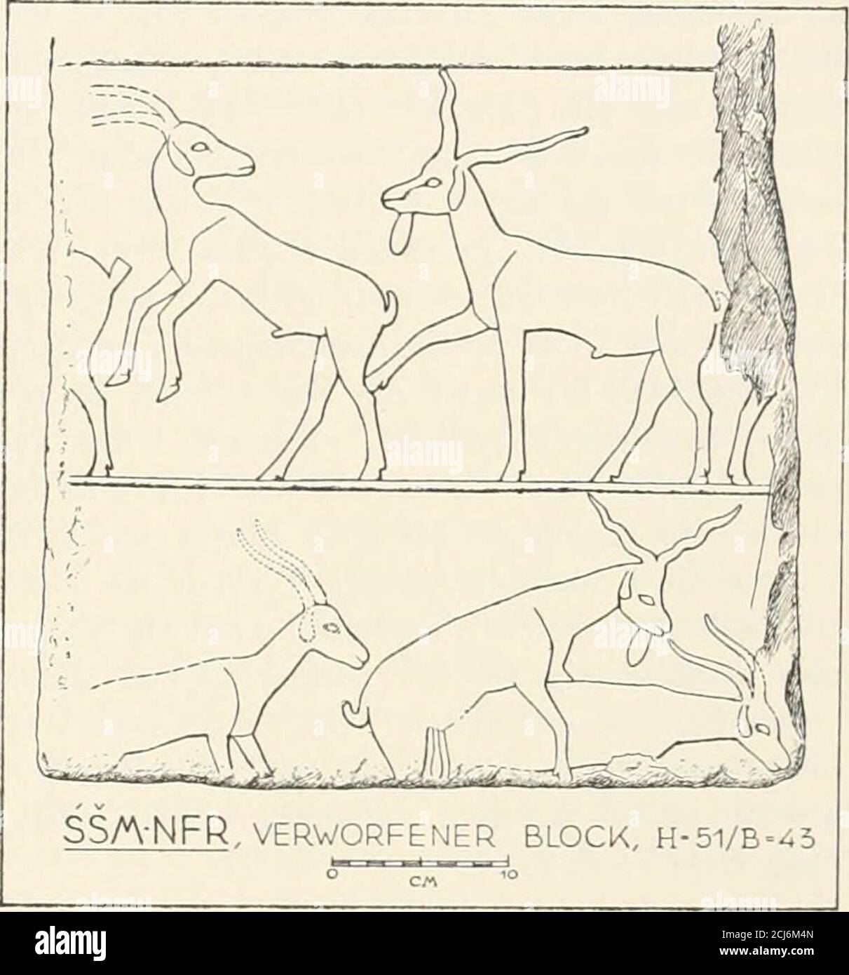 . Gîza : Bericht über die von der Akademie der Wissenschaften in Wien auf gemeinsame Kosten mit Dr. Wilhelm Pélizaeus unternommenen Grabungen auf dem Friedhof des Alten Reiches BEI den Pyramiden von Gîza . m Bringen vonWild die Hyäne stets den zten Platz ebungen auf dem Ausland.das darf, OB Däß man dochAntillopen- und Gazellenfleisch dem der Hyänevorzog, stehe dahin; jedenfall aber waren dieTiere für die Tafel des Grabherrn bestimmt,und nicht für seinen Jagdsport. Wenn wir unsdarüber wundern, daß ihm ihr Braten mundenkonnte, ainsi mag man bedenken, daß durch dasNudeln der Tiere der Gesclimack i Banque D'Images