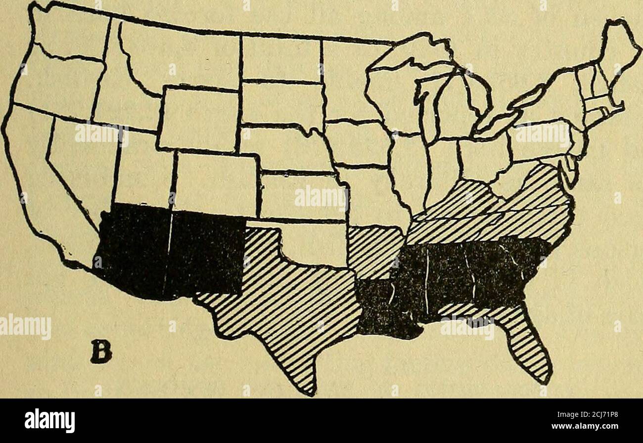 . Scolarisation de l'immigrant . CZJO-9% 1C-19%- MB 2.0% ANDOVER. Carte 1.— pourcentage d'analphabétisme dans chaque État en 1910 pour UNE population blanche née à l'étranger, 10 ans et plus population totale, 10 ans et plus SCOLARISATION DE L'IMMIGRANT complète analphabétisme, Il peut probablement être assumeque le ratio de l'analphabétisme inEnglish dans le Massachusetts parmi les étrangers nés à l'analphabète totale parmi les étrangers nés ne serait pas une surestimation comme un ratio pour l'ensemble du pays. Le recensement du Massachusetts donne 10.9 pour cent d'analphabétisme total et 30.1 pour cent d'analphabètes en anglais parmi les Banque D'Images