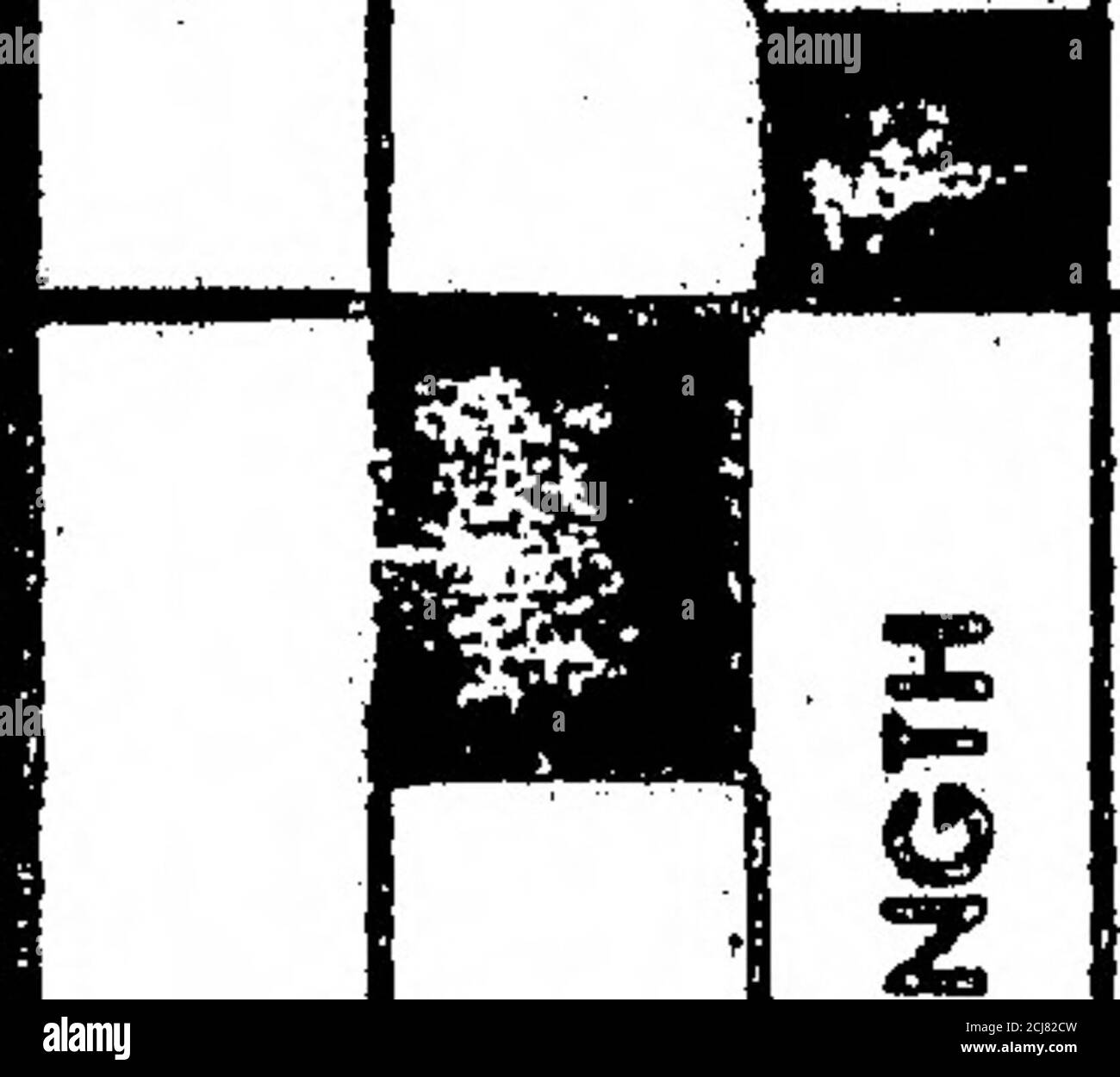 . calcomp :: H-84-0045B manuel d'utilisation de l'interface parallèle DR11W DR11B DR11C et DR11B Nov1984 . Z o 5 ii ft ! CI. --.5 pa QO J i j k5 i 1 i II ! i i J: y H3 I i I 1^ I! I i 1 %1 : 1 ; j ! je cm! J; 10 §1 -1 I V9; VS CM ! ! je ! ! II i de. ! Mi II I ! : Je I! ! I ; I V9 N o I «0 I I .:4 I il i 5 OH O KON g K 8 OV I 2: z s z g 8 S o S z i - s 5 i ^ i i ffi 2 2 s p a «« § ^° S5 1 ^ 2 6= O SG 33 0^ & gt; S 6U ^ * E ® ui X 1 cm Q i Q A3» ttZdO 42 K changer I I 1 LISTE DE FILS 1 et UL X«l 1 tu1-O z 1 ( ■ i DC Urn i mi»» zo 6^2^ UlUl IK UL « •c UL i z i 8 UL Z 18 m i UL UL 1z SZ UL m a ! je cm Banque D'Images